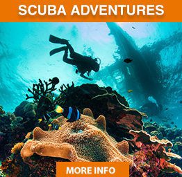 button-scuba button-scuba
